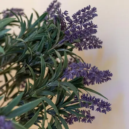 Monte Avos By Ecovillas Feriehus *