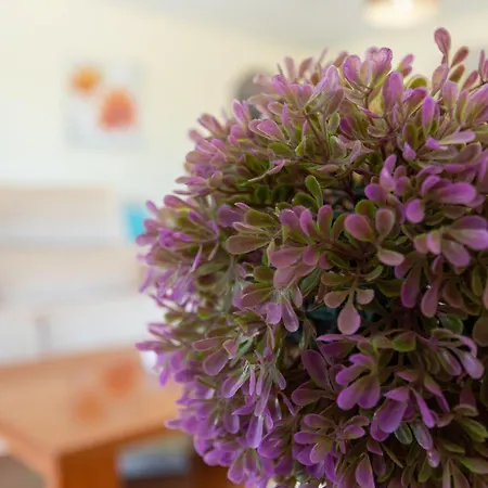 Monte Avos By Ecovillas *