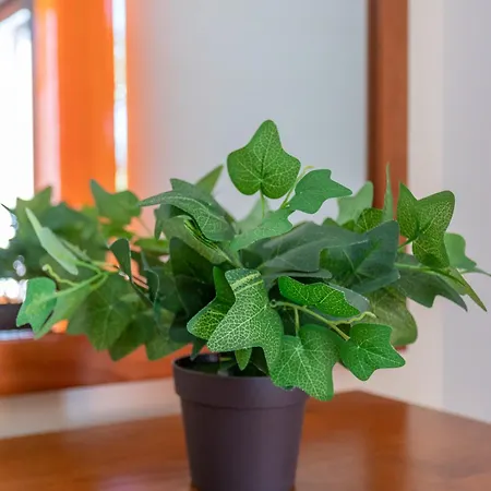 Monte Avos By Ecovillas Nyaraló *