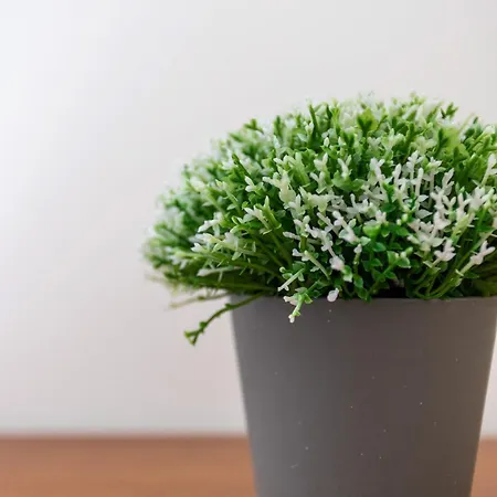 Monte Avos By Ecovillas * Albufeira